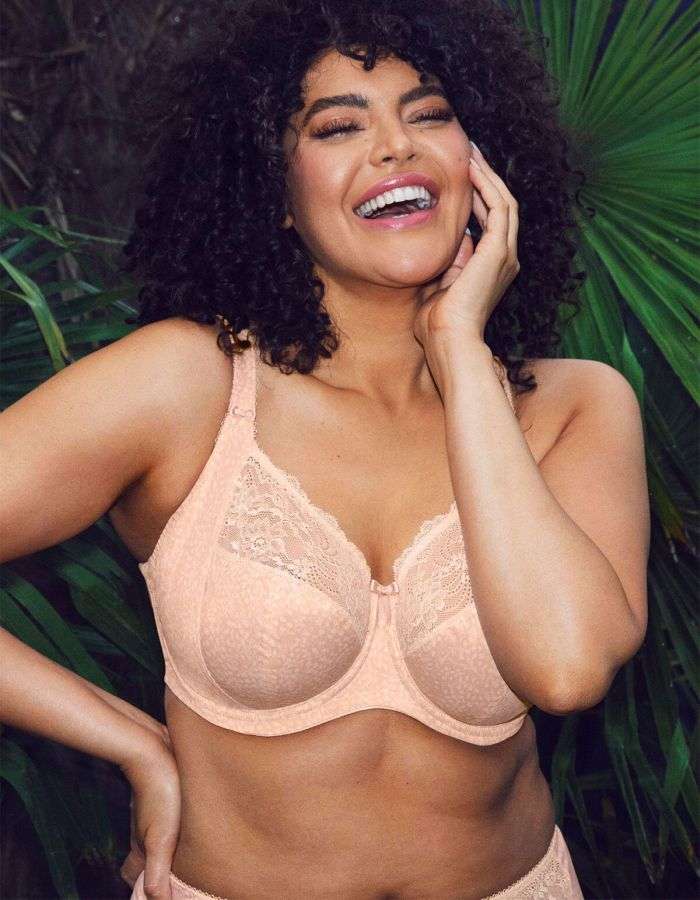 Elomi Brand