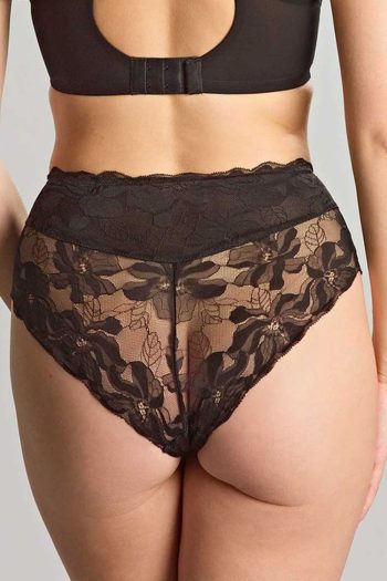 Panache Evangeline Deep Brief, Black, Back View