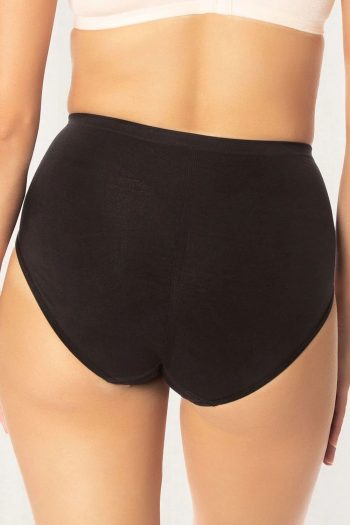 Triumph Shape Sensation Minimiser Brief, Black, Back View